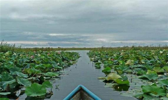 تصویب اعتبار 120 میلیاردی برای آبخیزداری در حوضه تالاب انزلی
