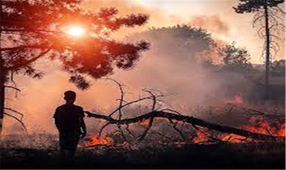 دود هیزم هیرکانیان به چشم فرزندانمان خواهد رفت