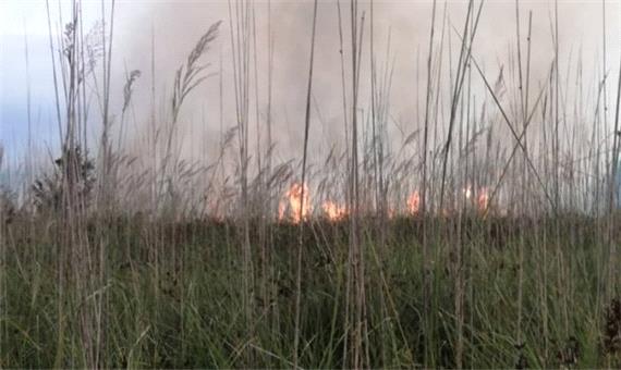 اطفای آتش‌سوزی در اراضی ملی رودسر و آستانه‌اشرفیه