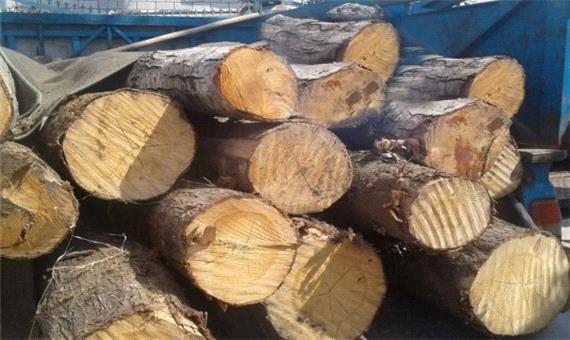 کشف و ضبط 6 تن چوب جنگلی قاچاق در اطاقور لنگرود
