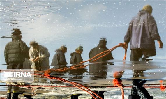 صید ماهیان استخوانی در گیلان 16 درصد کاهش یافت