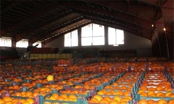 راه اندازی 4 سردخانه محصولات کشاورزی در گیلان