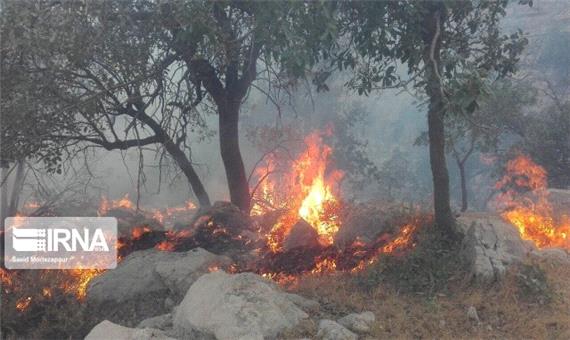 آتش‌سوزی سطحی اراضی جنگلی آستارا مهار شد