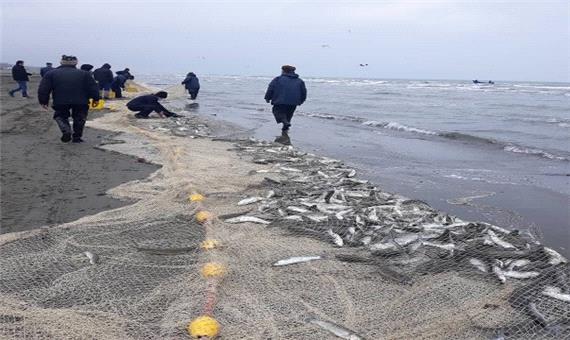 صید 600 تن ماهی از پهنه‌ی خزر در گیلان