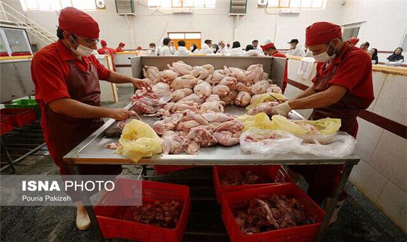 افزایش 50 تنی مصرف مرغ در گیلان