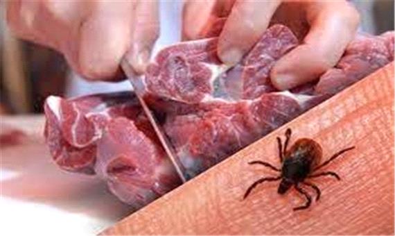 احتمال افزایش شیوع بیماری تب کریمه کنگو در گیلان