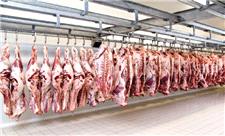 بی خطر بودن گوشت دام‌های ذبح شده در کشتارگاه‌های صنعتی گیلان