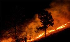 آتش‌سوزی در جنگل‌های رضوانشهر مهار شد