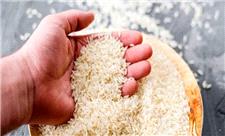 قیمت جدید برنج در بازار مشخص شد