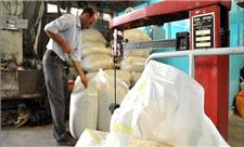 اعلام نرخ مصوب تبدیل شلتوک به برنج در گیلان