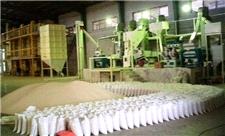 اصلاح ساختار 725 شالیکوبی در گیلان/ ضایعات برنج 7 درصد کاهش یافت
