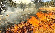 سوختن 867 هکتار از جنگل‌های ایران در آتش تابستان  2 استان در صدر آتش‌سوزی جنگل‌ها
