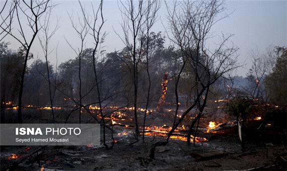 آتش سوزی 45 هکتاری در اراضی جنگلی گیلان