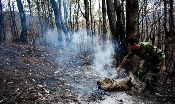 (تصاویر) 45 هکتار از جنگل‌های جنوب گیلان طعمه حریق شد