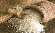 برنج در سبد کالا‌های اساسی قرار می‌گیرد