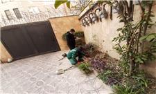 آغاز طرح کاشت 15 هزار نهال در منازل شهروندان و فضای سبز منطقه 19