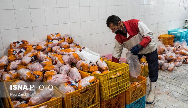 قیمت مرغ در استان گیلان تا شب عید افزایش نمی‌یابد