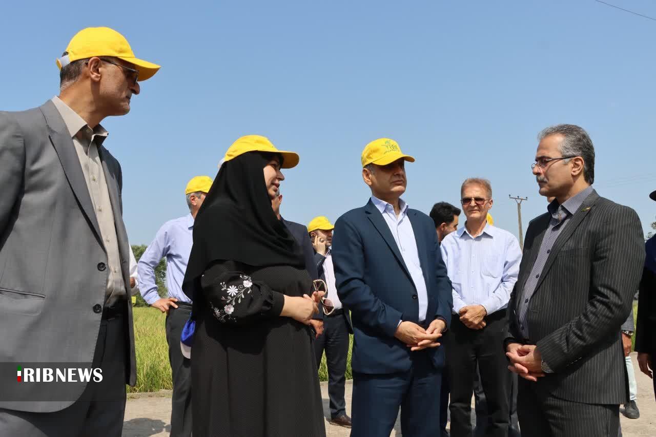 نسیم گیلان