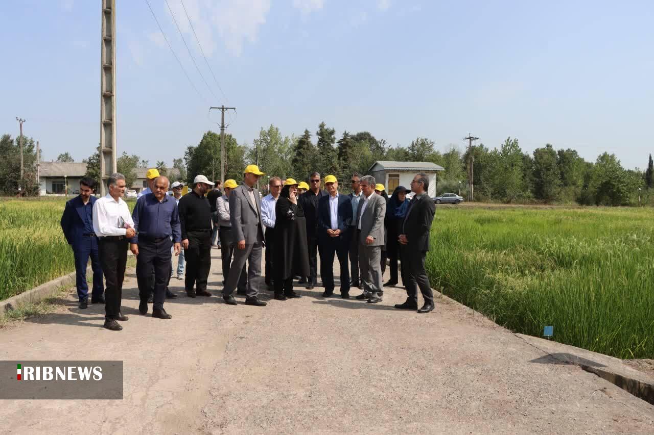 نسیم گیلان