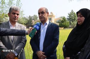 نسیم گیلان