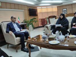 نسیم گیلان