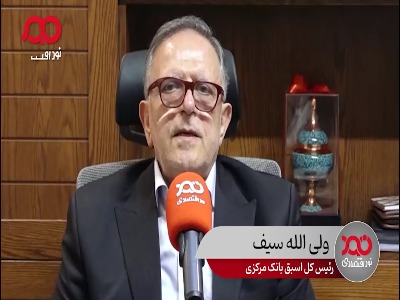 رئیس کل اسبق بانک مرکزی: برخی بانک‌های خصوصی دست کمی از موسسات غیرمجاز ندارند
