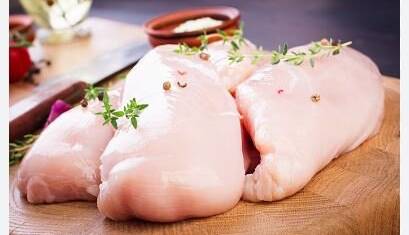 چالش‌ها و آینده تولید «گوشت مرغ سبز» در ایران