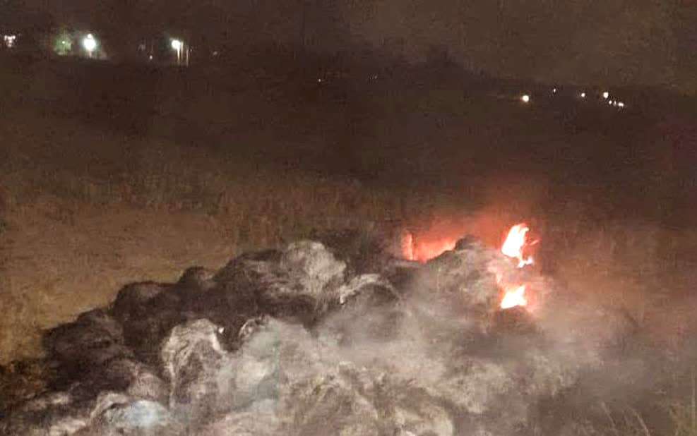 برخورد با متخلف آتش زدن کاه و کلش در شهرستان فومن