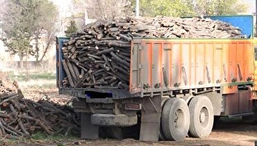 کشف ۱۵ تن چوب جنگلی قاچاق در شهرستان آستانه اشرفیه