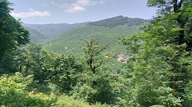 نسیم گیلان
