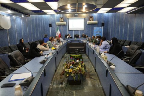نسیم گیلان