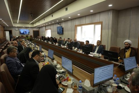 نسیم گیلان