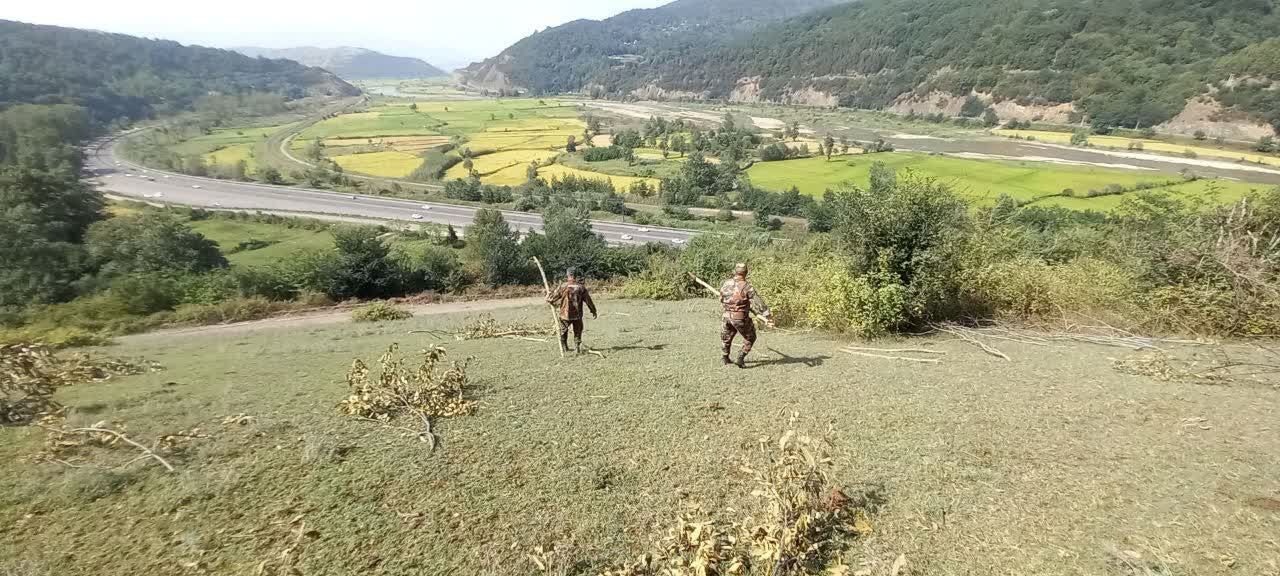 نسیم گیلان