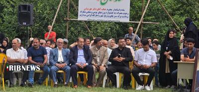 نسیم گیلان