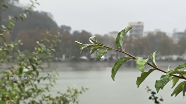 بارش‌های رگباری و شدید باران در روز‌های پایانی تابستان در گیلان
