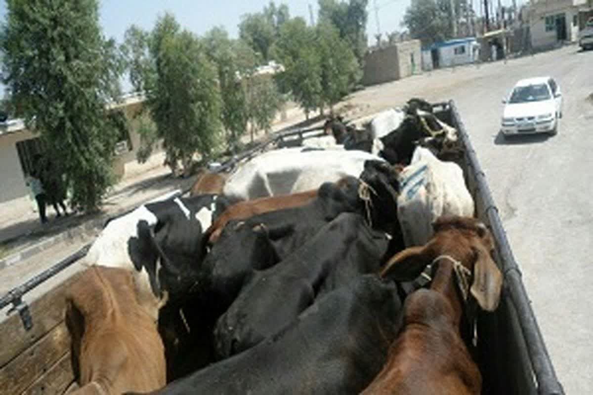 نسیم گیلان