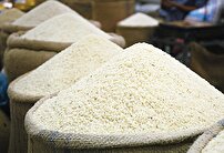 سردی بازار برنج
