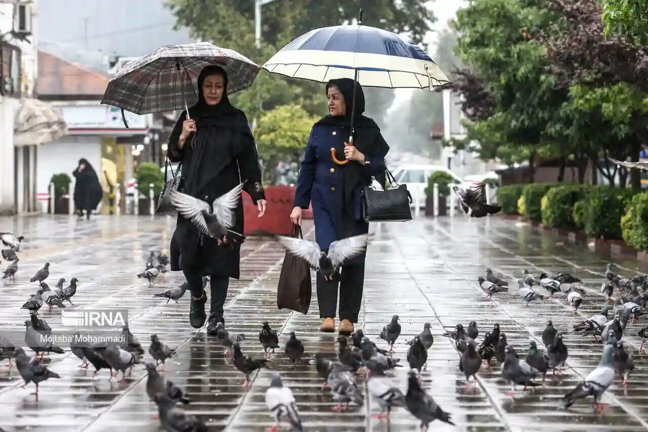 تابستان در گیلان با باد و باران بدرقه می‌شود