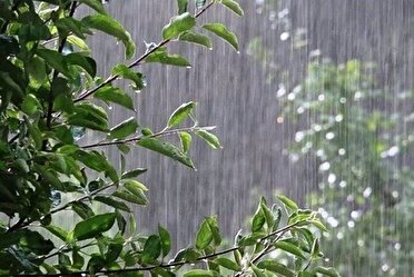 بارش شدید باران در سواحل و جلگه‌های گیلان