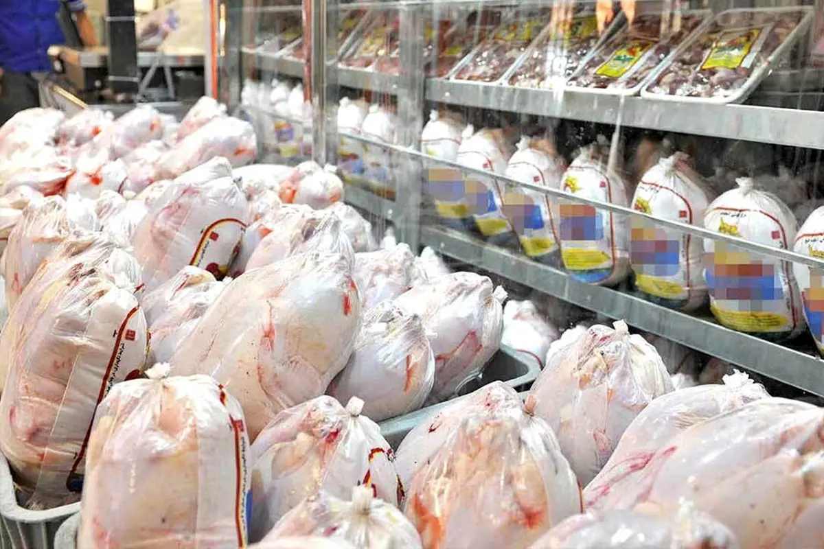 قیمت مرغ بر مدار گرانی