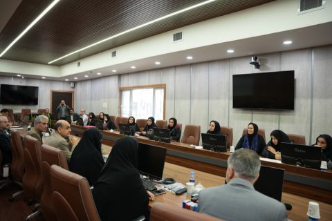 نسیم گیلان