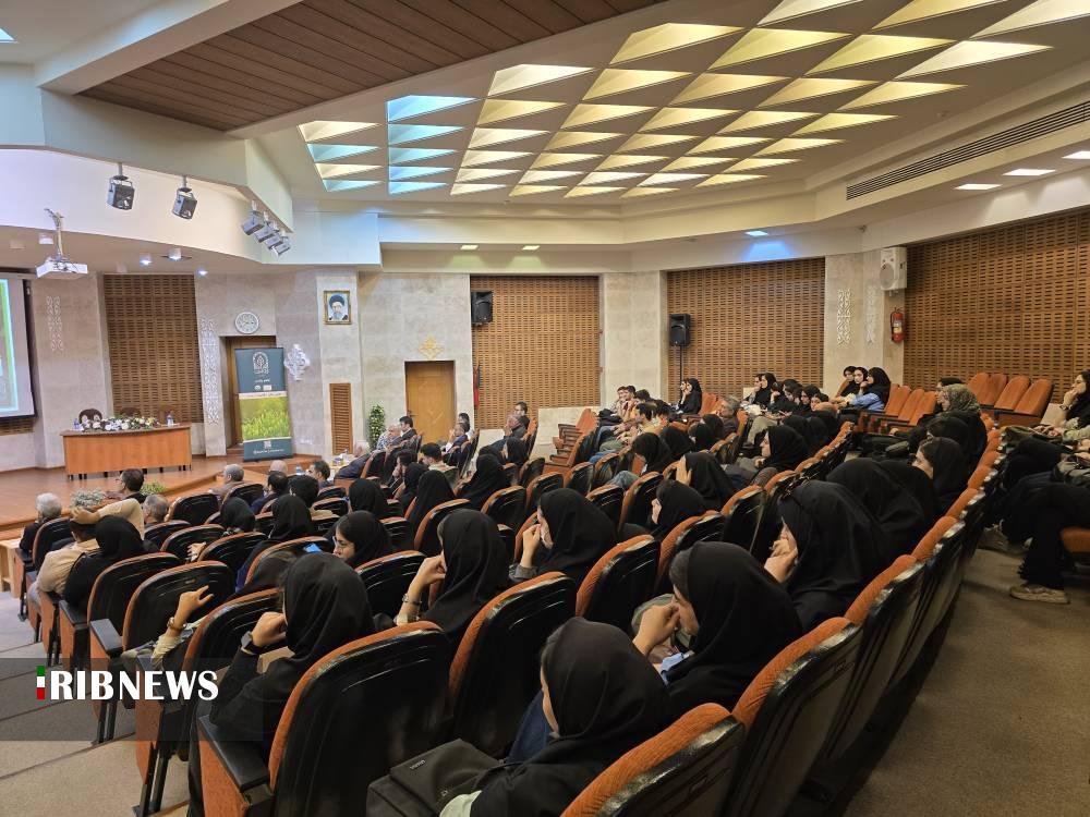 نسیم گیلان