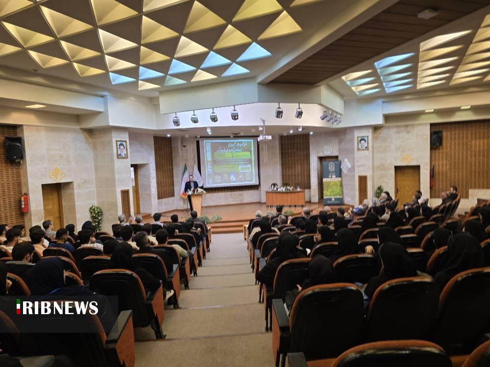 نسیم گیلان