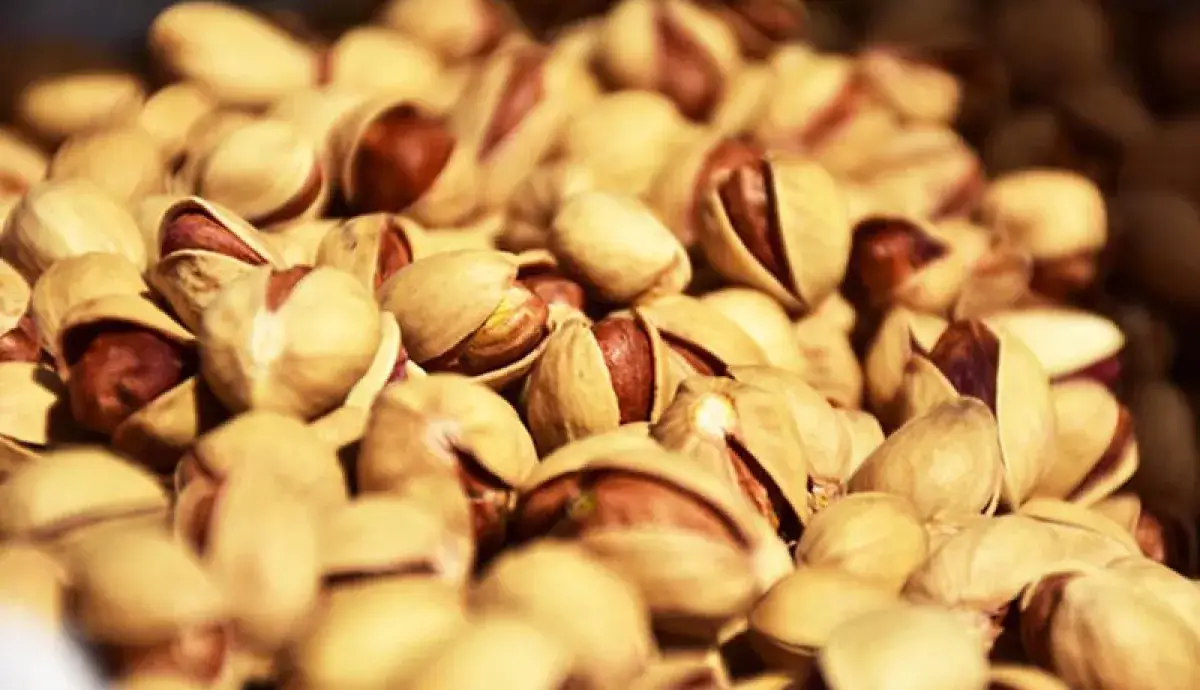 درآمد ارزی 1.7 میلیارد دلاری صادرات پسته