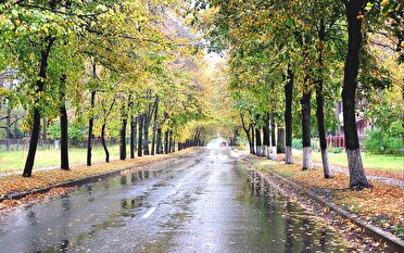 هوای گیلان از عصر فردا بارانی است
