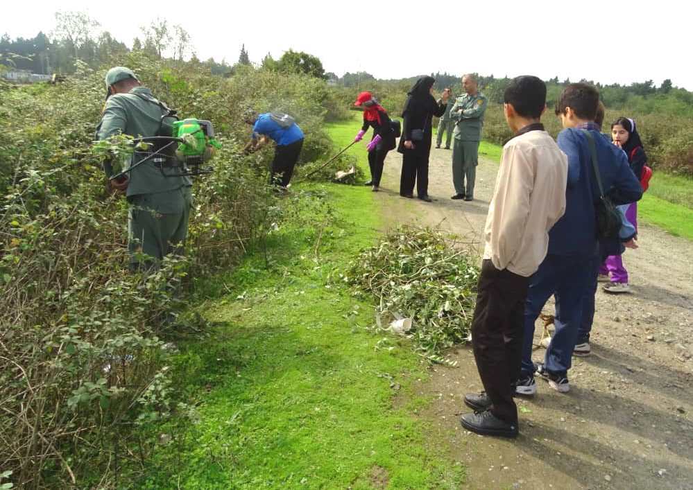 نسیم گیلان