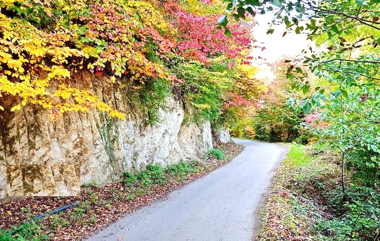 نسیم گیلان