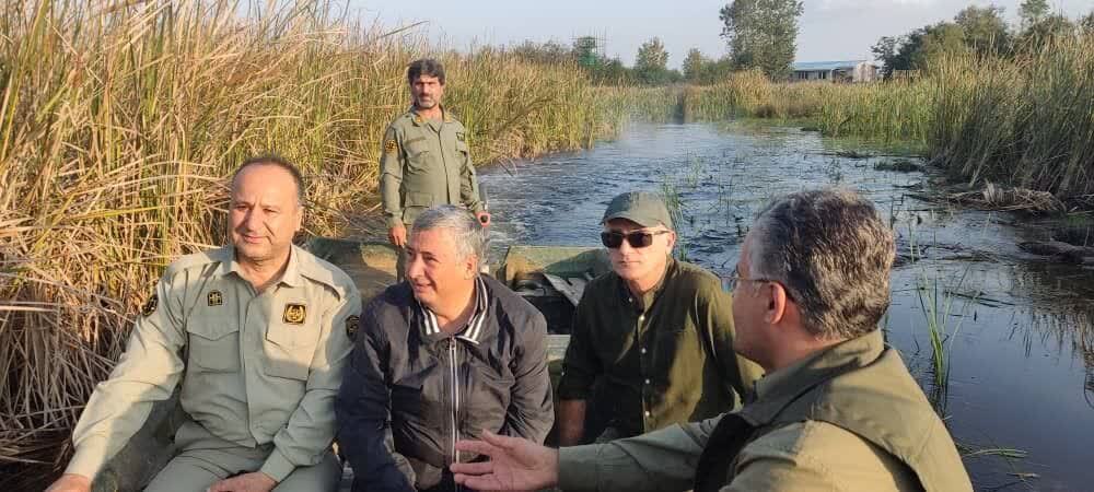 نسیم گیلان