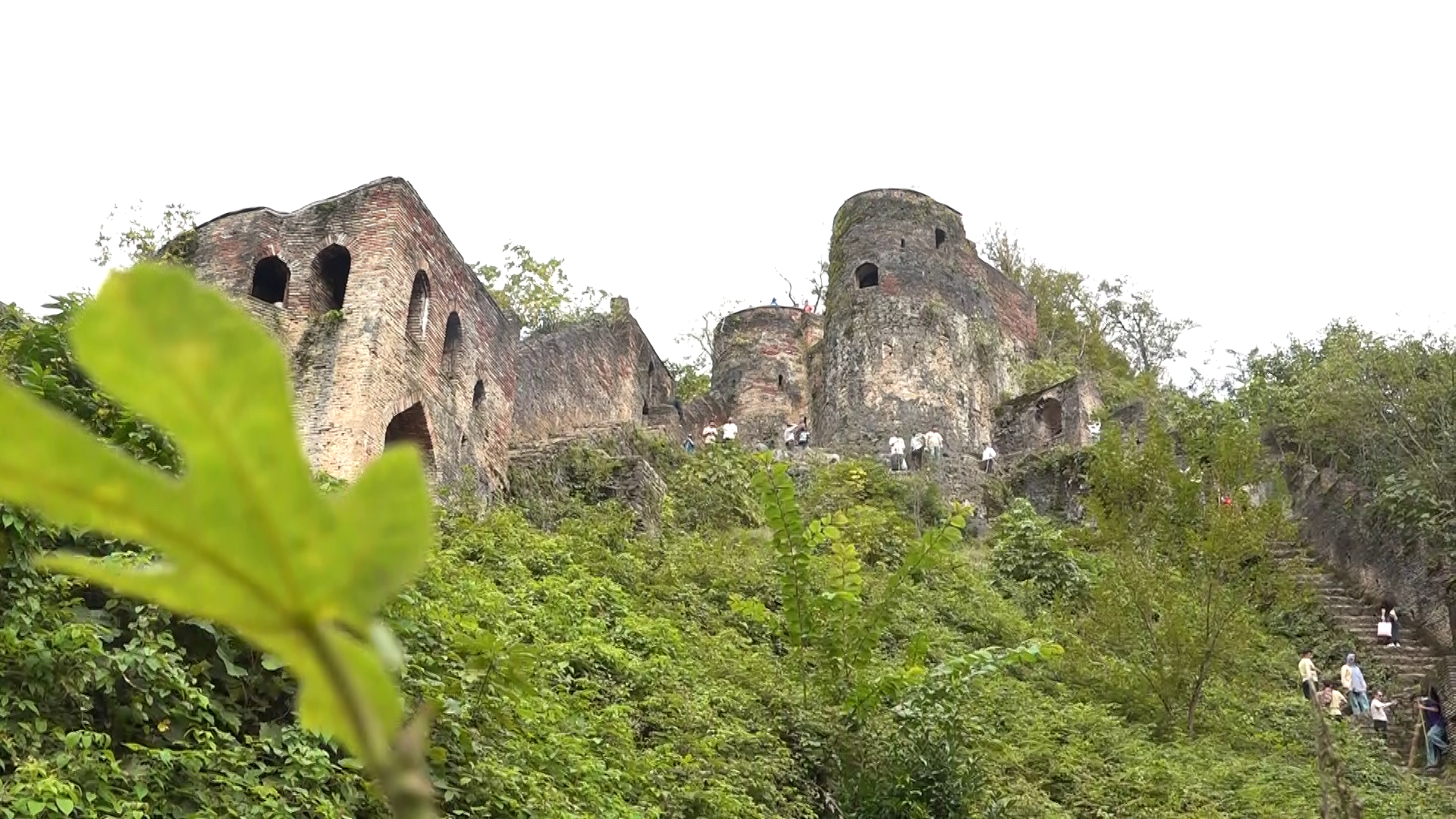 نسیم گیلان