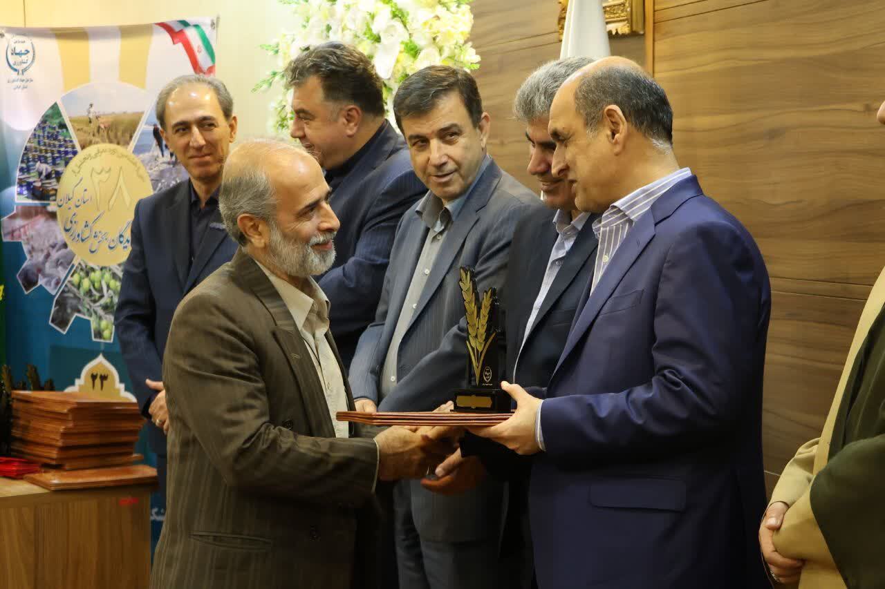 نسیم گیلان